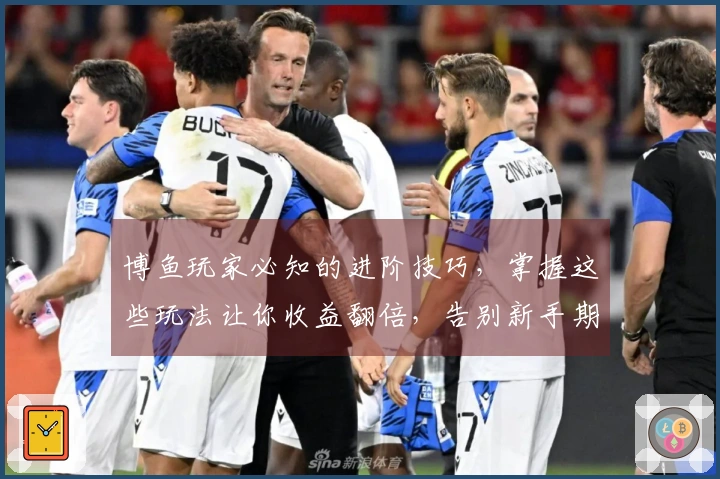 博鱼玩家必知的进阶技巧，掌握这些玩法让你收益翻倍，告别新手期！