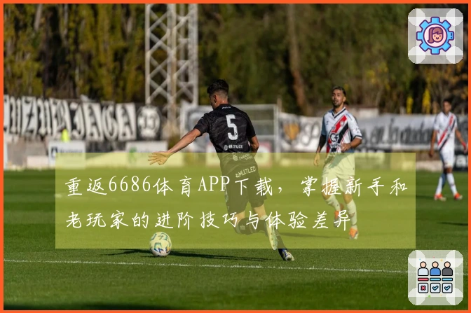 重返6686体育APP下载，掌握新手和老玩家的进阶技巧与体验差异