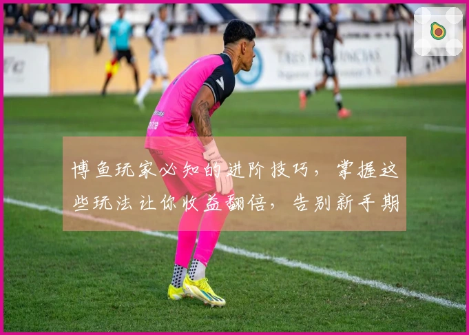 博鱼玩家必知的进阶技巧，掌握这些玩法让你收益翻倍，告别新手期！