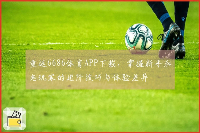 重返6686体育APP下载，掌握新手和老玩家的进阶技巧与体验差异